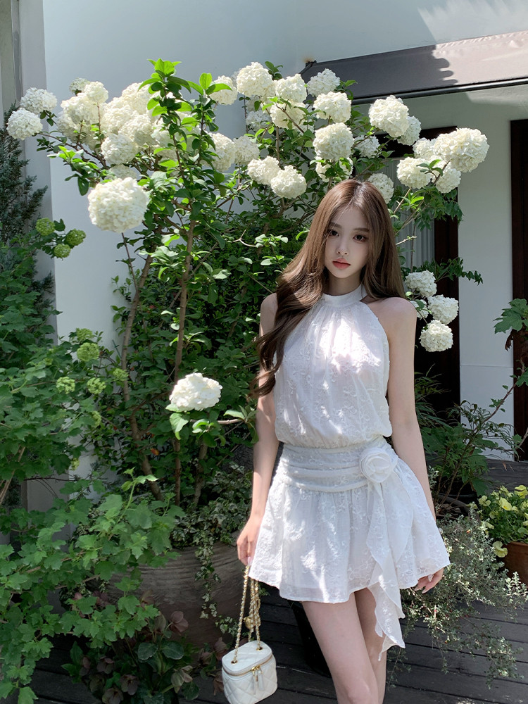 25050512