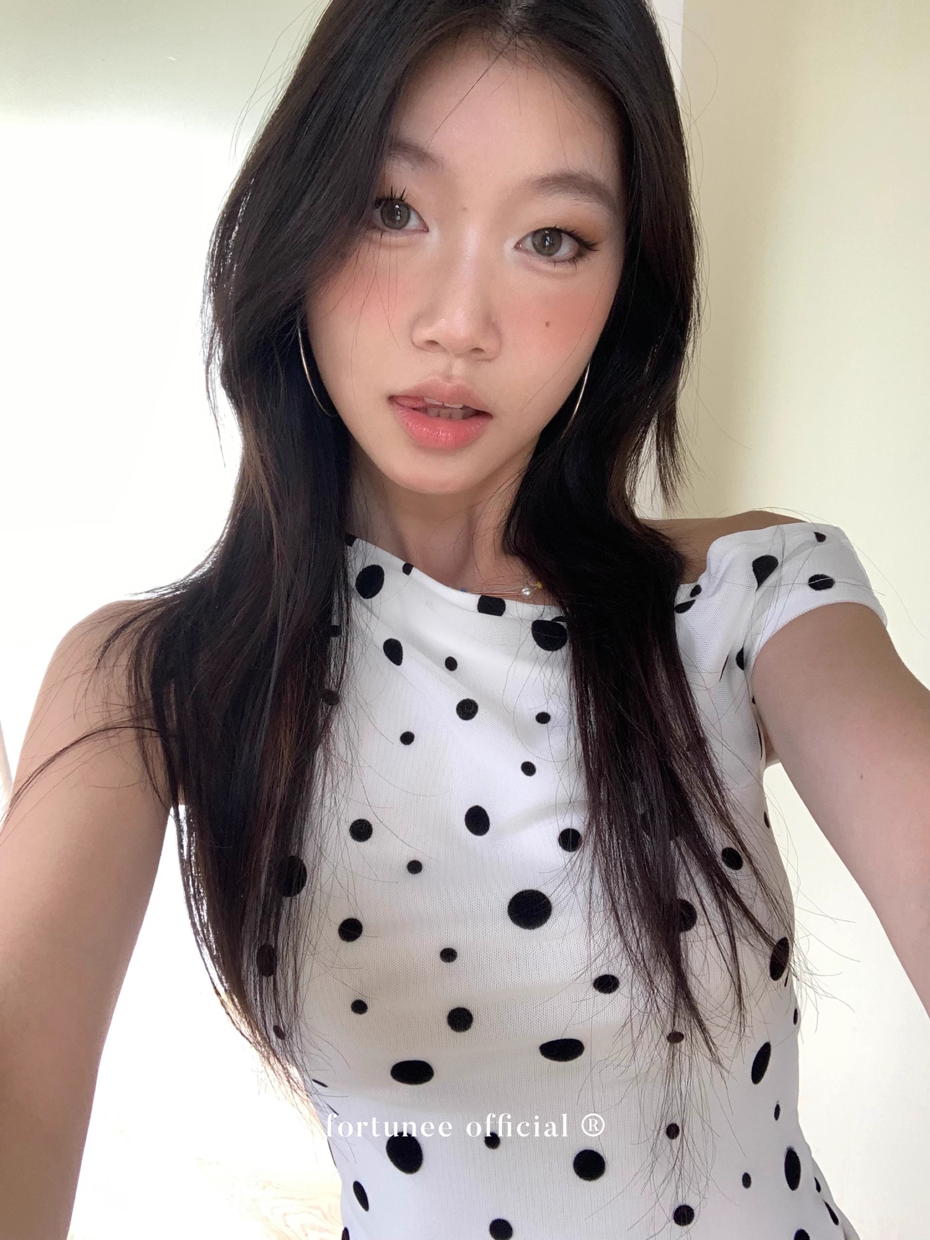 25052912